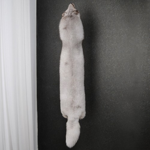 1pcs real tanned - fox, hide