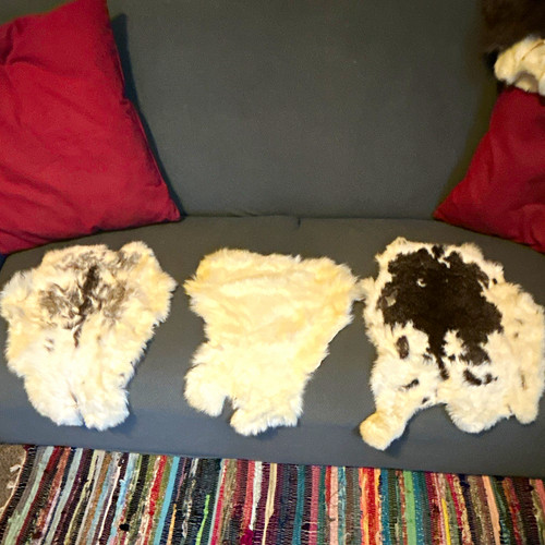 Lot hair on fur - of, hair-on